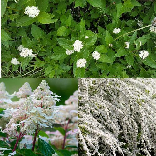 Комплект СКАНДИНАВСКИЙ СТИЛЬ в Шымкенте