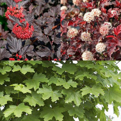 Комплект ОСЕННИЙ КОСТЕР в Шымкенте