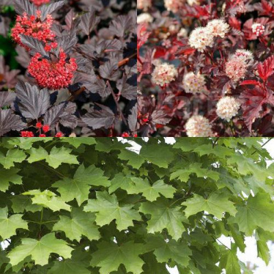 Комплект ОСЕННИЙ КОСТЕР в Шымкенте