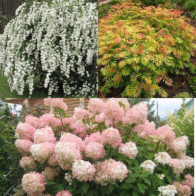 Комплект ФЕЙЕРВЕРК ЛЕТА в Шымкенте