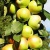 Яблоня БОЛЕРО колонновидная в Шымкенте