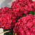 Гортензия ЭНДЛЕСС САММЕР ЛАВ крупнолистная в Шымкенте