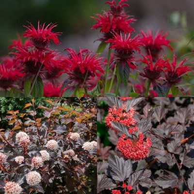 Комплект ОГНЕННЫЙ МИКС в Шымкенте