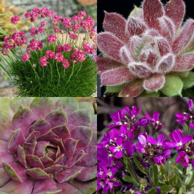 Комплект МИНИ САД в Шымкенте