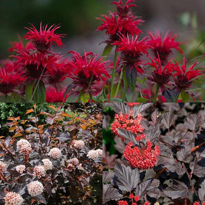 Комплект ОГНЕННЫЙ МИКС в Шымкенте